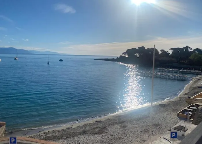 Beautiful 41 M With Balcony